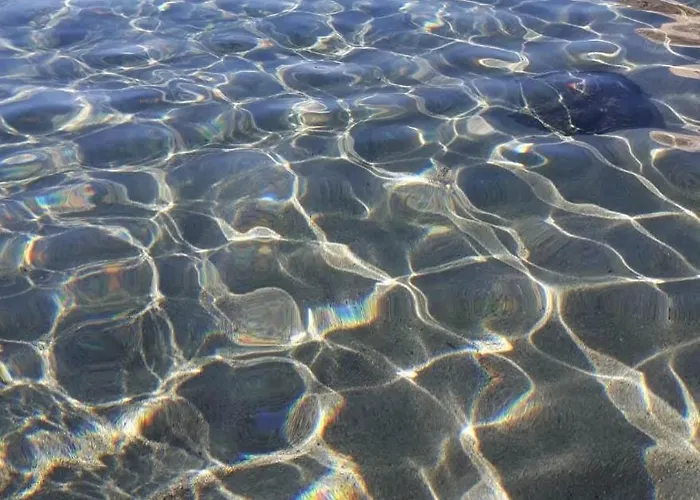 公寓 Da Monnedda *