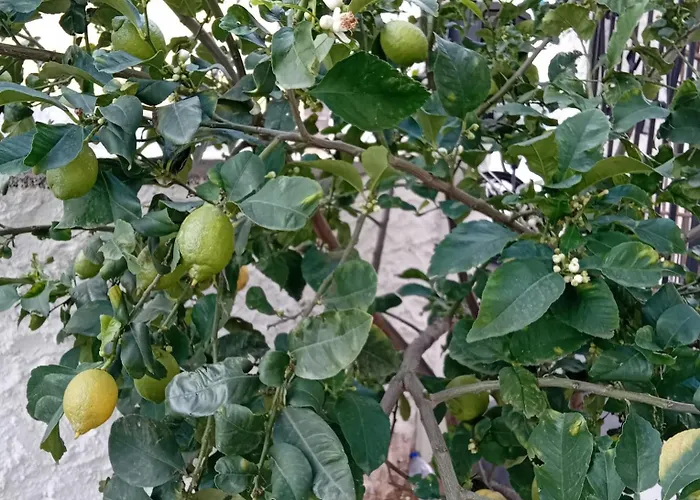 Appartement Da Monnedda