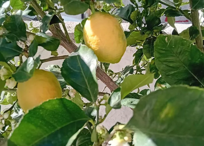 Da Monnedda * Cala Gonone